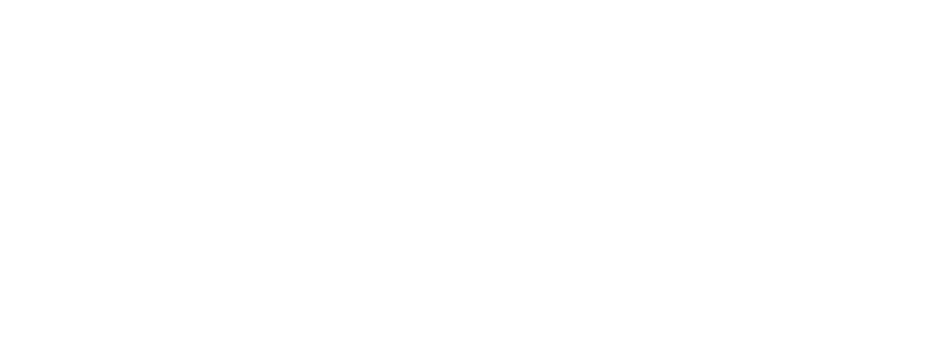 Scenic City Wildlife Removal